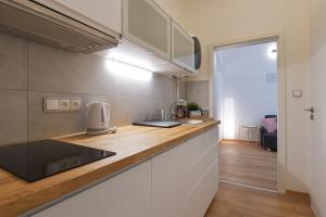 Kuchyňa alebo kuchynka v ubytovaní Pat & Mat Apartment