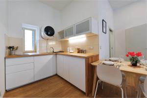 Kuchyňa alebo kuchynka v ubytovaní Pat & Mat Apartment