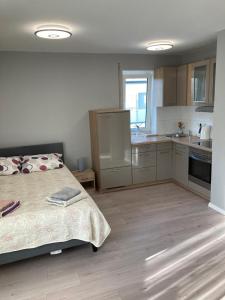 1 dormitorio grande con 1 cama y cocina en Ferienwohnung Winkler en Augsburg