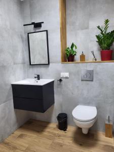 een badkamer met een wastafel en een toilet bij Apartamenty CITI in Siechnice