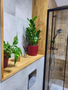 Koupelna v ubytování Apartamenty CITI