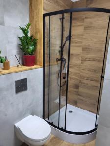 Koupelna v ubytování Apartamenty CITI