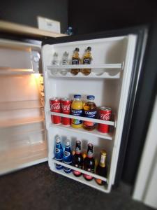 Kuchyň nebo kuchyňský kout v ubytování Apartamenty CITI