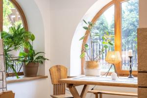 a table with plants on it next to a window at Harendzianka in Zakopane