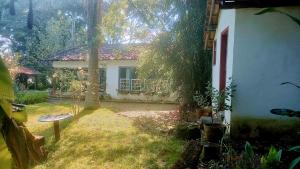 a small house with a tree in the yard at Casa Verde-Casa de Temporada no Bichinho in Bichinho