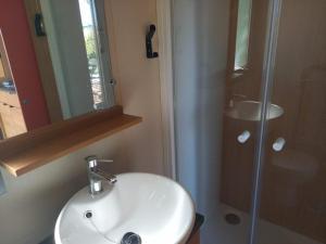 a bathroom with a sink and a shower with a mirror at CAMPING ONLYCAMP CHAMARGES in Die