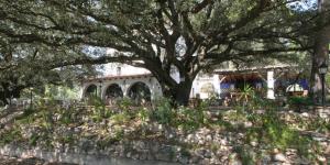 A garden outside Masia Rural Les Alsines