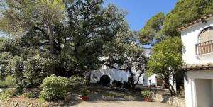 ein weißes Haus mit Bäumen im Hof in der Unterkunft Masia Rural Les Alsines in Valls