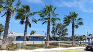 une rangée de palmiers devant un bâtiment dans l'établissement Villa marina, santa elena, à Santa Elena