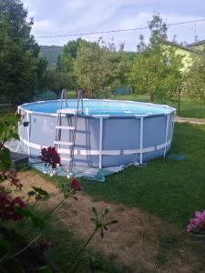 a pool in a yard with a ladder next to it at Ribarska Vila in Donje Lohovo