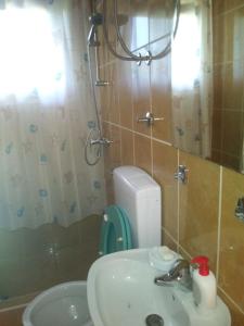 y baño con lavabo, aseo y espejo. en Ribarska Vila, en Donje Lohovo