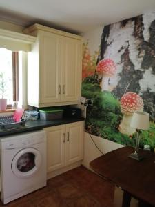 a kitchen with a washing machine and a painting of mushrooms at Crover Cottage Twin Room with Lake View in Mountnugent