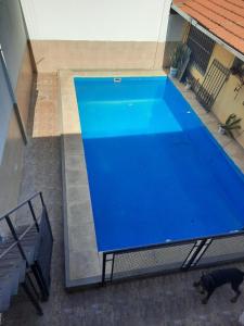 an overhead view of a large blue swimming pool at lo de Sandra 2 in Salta