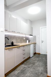 Una cocina o kitchenette en Apartman Tija 1