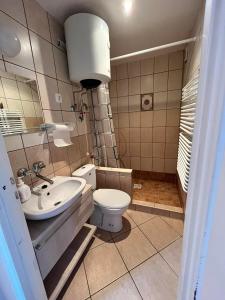 a bathroom with a toilet and a sink at Dom w Borach in Legbąd
