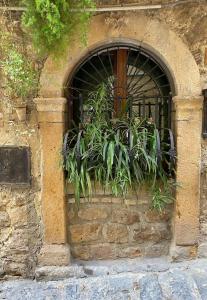 une fenêtre avec une plante sur un mur en pierre dans l'établissement Il Giardino del Saraceno House, à Piazza Armerina