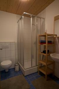 a bathroom with a shower and a toilet and a sink at Apartment Amberg in Ötztal-Bahnhof