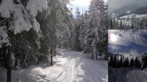 Ferienwohnung Bernsteiner during the winter
