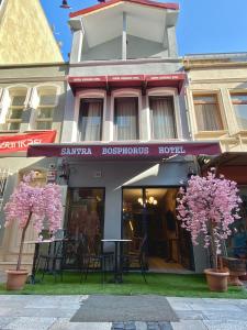 イスタンブールにあるSantra Bosphorus Hotelのピンクの花の木が目の前に咲く建物