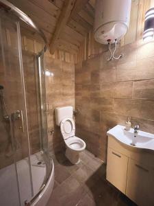 een badkamer met een toilet, een douche en een wastafel bij Hellena in Sarajevo