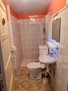 a bathroom with a toilet and a sink and a shower at Maison à Font-Romeu - Odeillo in Odeillo-Via