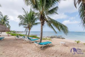 a row of chairs and palm trees on a beach at Chac Hal, Beachfront Apartment with Amenities - Chac Hal 2 in Puerto Aventuras