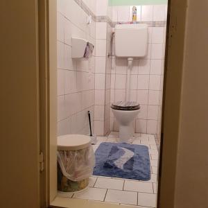 baño con aseo y alfombra azul en Stanglwirt, en Göstling an der Ybbs