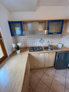 a kitchen with a sink and a stove at Dolomitihouse AUNER in Fiera di Primiero