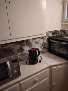 a kitchen counter with a tea kettle and a microwave at Perikleous Apartment in Athens