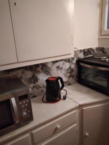 una encimera de cocina con hervidor de agua y microondas en Perikleous Apartment, en Atenas
