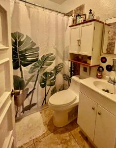 y baño con aseo y cortina de ducha. en Habitación Céntrica calle 8 Miami en Miami