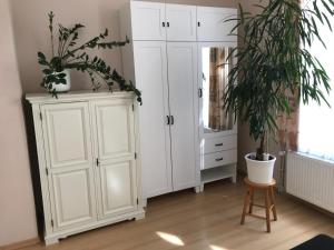 een kamer met witte kasten en een potplant bij Ferienwohnung Bornemann in Goslar
