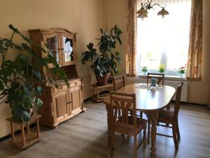 een eetkamer met een tafel en een aantal planten bij Ferienwohnung Bornemann in Goslar