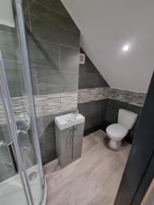 a bathroom with a toilet and a shower at Harrington House in Cleethorpes