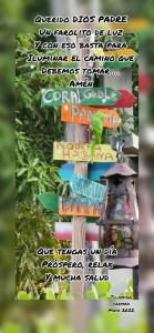 a variety of colorful signs hanging from a tree at Habitación Céntrica calle 8 Miami in Miami