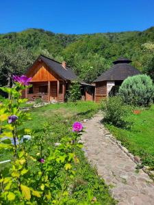 a house with a pathway in front of it with flowers at Stara Khata Карпати in Sheshory