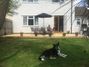 Gallery image of Sea Bean 2 Bedroom House Manorbier Tenby Pet Friendly in Manorbier