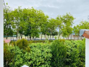 Ogród w obiekcie Très jolie Villa Bianca, maison avec jardin privé à Deauville