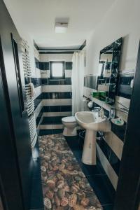 a bathroom with a sink and a toilet at Casa Costea in Gura Humorului