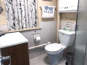 La salle de bains est pourvue de toilettes et d'un rideau de douche. dans l'établissement 67-26 Austin Cove near subway, all shops, restaurants! Separate Entrance, à New York