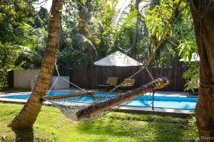 a hammock hanging between two palm trees next to a pool at Hela Gedara Retreat Villa Beruwala in Beruwala