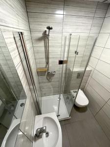 ein Bad mit einer Dusche, einem WC und einem Waschbecken in der Unterkunft Apartments and rooms pri Bašlju in Cerkno