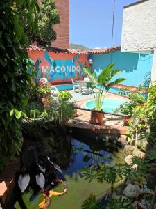 a pond in front of a building with a mural at Macondo Hostel in San Gil
