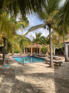 - une piscine bordée de palmiers en face d'une maison dans l'établissement Villa Perla due (diving villa Chikitu), à Kralendijk
