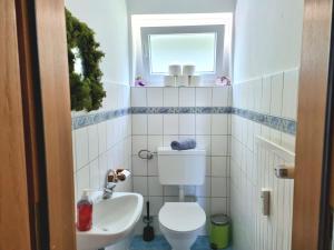 a bathroom with a toilet and a sink at Lovely spacious Apartment-80m2-OLD STYLE-tourist area in Rauth +9 photos