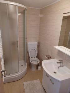 a bathroom with a shower and a toilet and a sink at Apartman Šoljac in Perušić