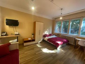 a bedroom with a bed and a tv and a couch at Home in the Heart in Budapest