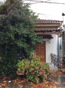 Gallery image of Mathes in Kl&aacute;vsion