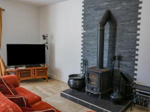 a living room with a fireplace and a tv at Beehive Cottage in Kilbrittain