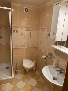 Ένα μπάνιο στο Apartmán Horní Mísečky +9 φωτογραφίες